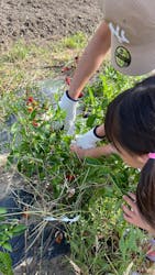 農業公園ぽんぽこ村に投稿された画像（2025/10/20）