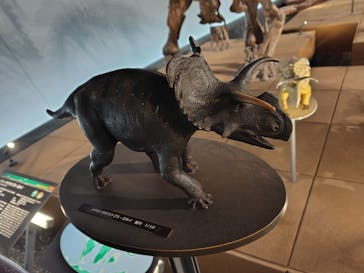 福井県立恐竜博物館に投稿された画像（2025/10/20）