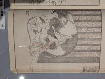 HOKUSAI－ぜんぶ、北斎のしわざでした。展に投稿された画像（2025/10/20）