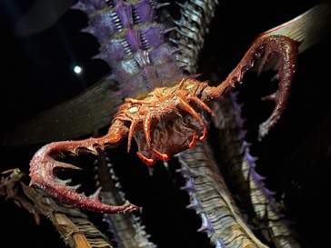 金曜ロードショーとジブリ展（静岡展）に投稿された画像（2025/10/20）