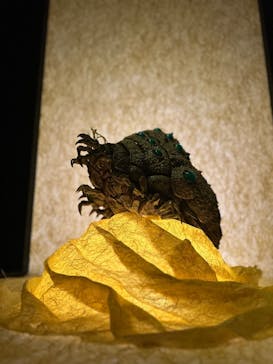 金曜ロードショーとジブリ展（静岡展）に投稿された画像（2025/10/20）