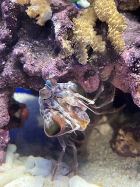 サンシャイン水族館に投稿された画像（2025/10/20）