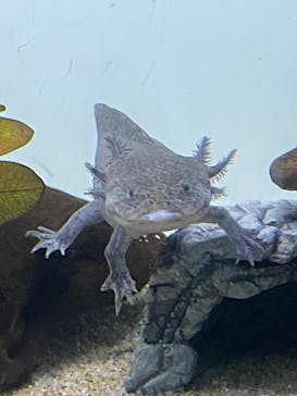 サンシャイン水族館に投稿された画像（2025/10/20）