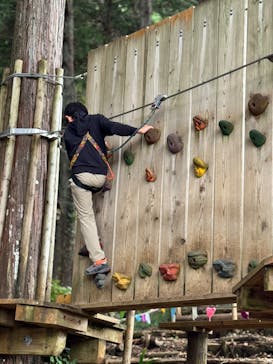 フォレストアドベンチャー・小田原に投稿された画像（2025/10/20）