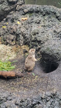 恩賜上野動物園に投稿された画像（2025/10/20）