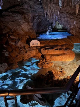 おきなわワールドに投稿された画像（2025/10/20）