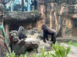 恩賜上野動物園に投稿された画像（2025/10/20）