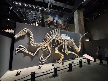 福井県立恐竜博物館に投稿された画像（2025/10/20）