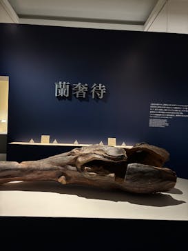 正倉院 THE SHOW ―感じる。いま、ここにある奇跡―　@上野の森美術館に投稿された画像（2025/10/20）