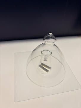 正倉院 THE SHOW ―感じる。いま、ここにある奇跡―　@上野の森美術館に投稿された画像（2025/10/20）