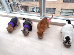 Cat Café MOFF 名古屋PARCO店に投稿された画像（2025/10/20）