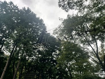 フォレストアドベンチャー・箱根に投稿された画像（2025/10/20）