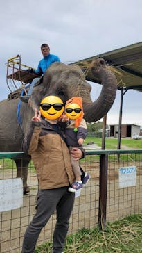 岩手サファリパークに投稿された画像（2025/10/20）