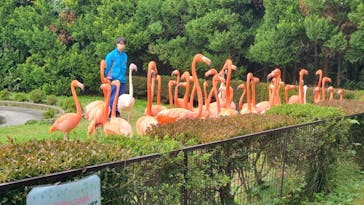 岩手サファリパークに投稿された画像（2025/10/20）