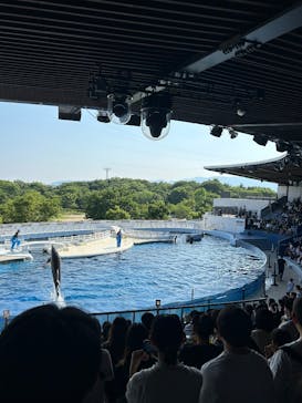 京都水族館に投稿された画像（2025/10/20）