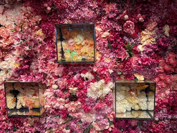 NARA KINGYO MUSEUMに投稿された画像（2025/10/20）