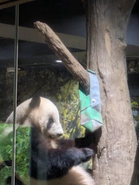恩賜上野動物園に投稿された画像（2025/10/20）