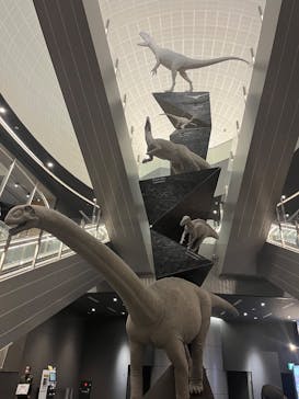 福井県立恐竜博物館に投稿された画像（2025/10/20）