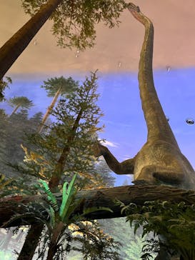 福井県立恐竜博物館に投稿された画像（2025/10/20）