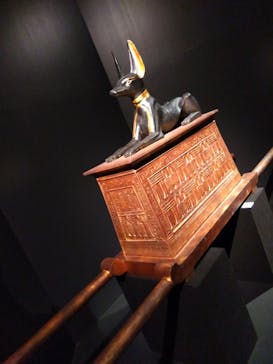 MYSTERY OF TUTANKHAMEN 体感型古代エジプト展に投稿された画像（2025/10/20）