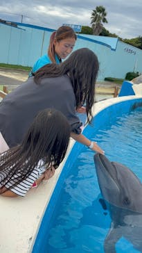 南知多ビーチランド＆南知多おもちゃ王国に投稿された画像（2025/10/20）