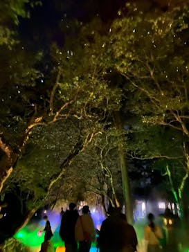 NAKED夜さんぽ™ 石川・那谷寺に投稿された画像（2025/10/20）