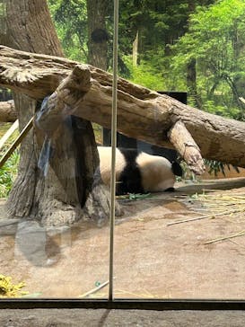 恩賜上野動物園に投稿された画像（2025/10/20）