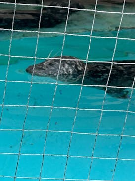 恩賜上野動物園に投稿された画像（2025/10/20）