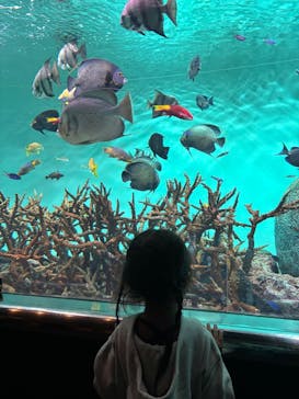 葛西臨海水族園に投稿された画像（2025/10/20）