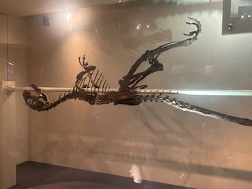 国立科学博物館に投稿された画像（2025/10/20）