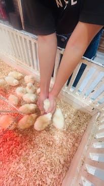 アニタッチアクアシティお台場に投稿された画像（2025/10/20）