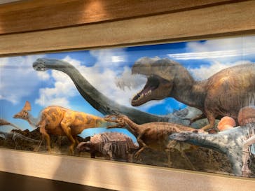 福井県立恐竜博物館に投稿された画像（2025/10/20）