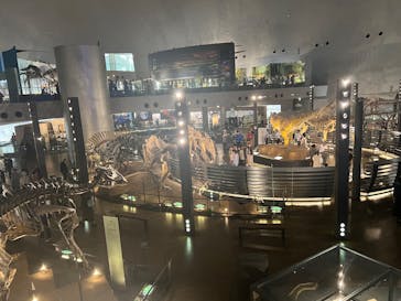 福井県立恐竜博物館に投稿された画像（2025/10/20）