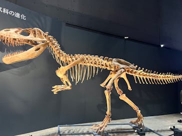 福井県立恐竜博物館に投稿された画像（2025/10/20）