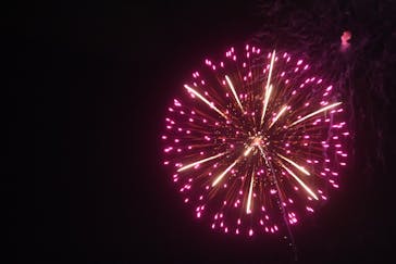 新江ノ島水族館に投稿された画像（2025/10/20）