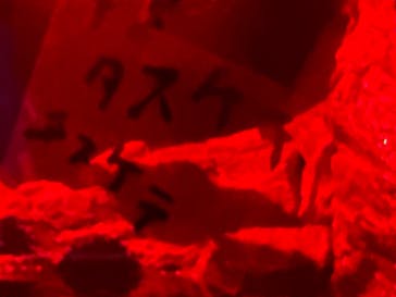 サンシャイン水族館に投稿された画像（2025/10/20）