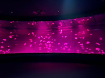 サンシャイン水族館に投稿された画像（2025/10/20）