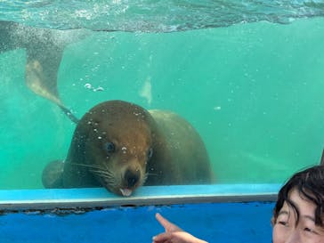 ゼロ距離水族館 伊勢シーパラダイスに投稿された画像（2025/10/20）