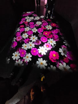 神戸ポートタワーに投稿された画像（2025/10/20）