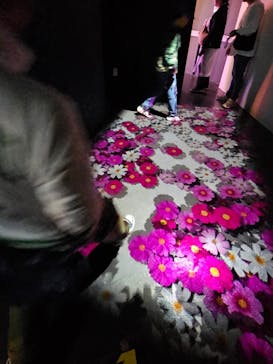 神戸ポートタワーに投稿された画像（2025/10/20）