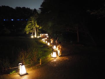 夜間特別開園 秋の夜長の小石川後楽園2025に投稿された画像（2025/10/20）