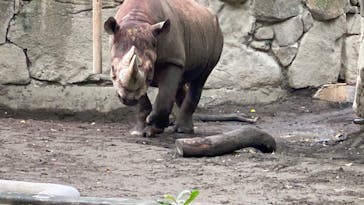 恩賜上野動物園に投稿された画像（2025/10/20）