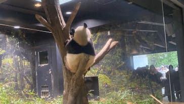 恩賜上野動物園に投稿された画像（2025/10/20）