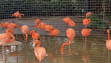 恩賜上野動物園に投稿された画像（2025/10/20）