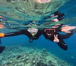 ダイビングサービス碧海に投稿された画像（2025/10/21）