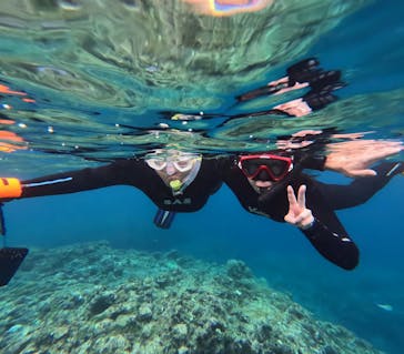 ダイビングサービス碧海に投稿された画像（2025/10/20）