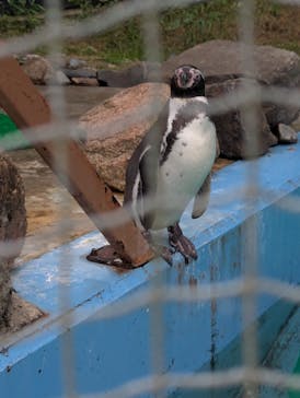 しろとり動物園に投稿された画像（2025/10/20）