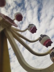 別府ケーブルラクテンチに投稿された画像（2025/10/20）