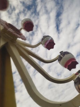 別府ケーブルラクテンチに投稿された画像（2025/10/20）