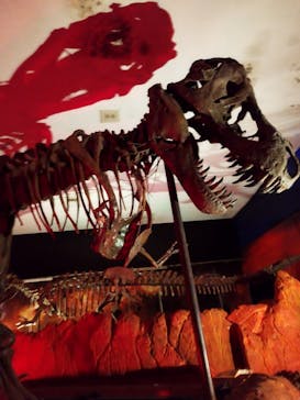 別府ケーブルラクテンチに投稿された画像（2025/10/20）